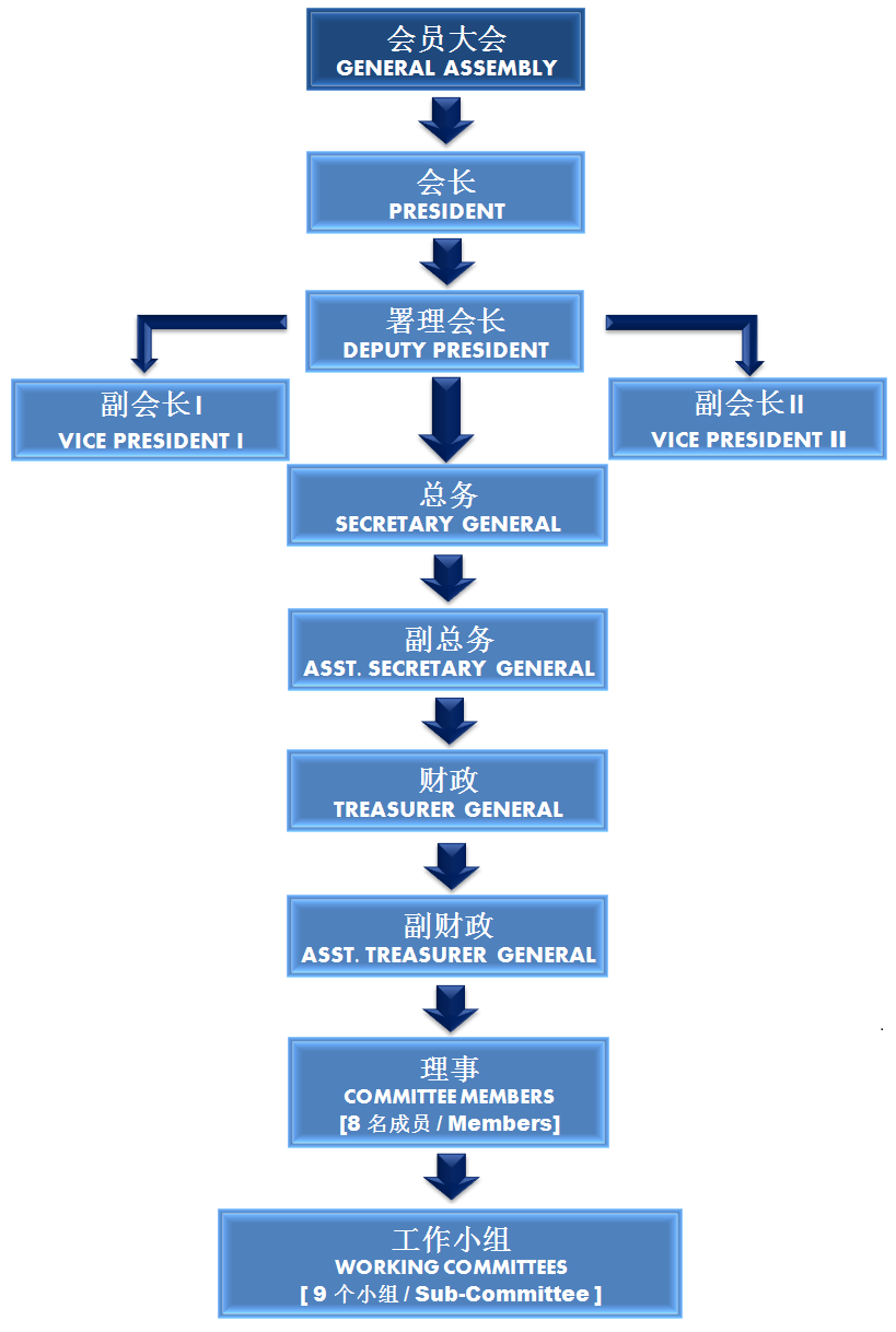 Workshop Organizational Chart